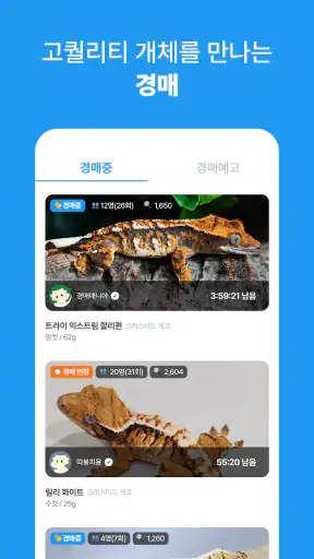 피들 screenshot