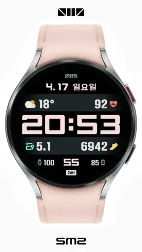 SMZ DK003 screenshot