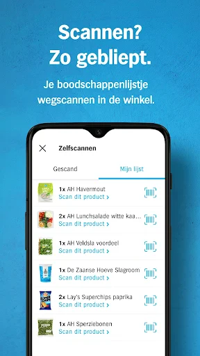 Albert Heijn supermarkt screenshot