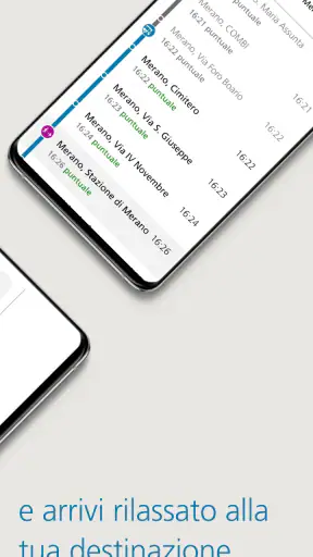 altoadigemobilità screenshot