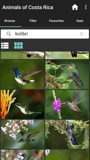 Animals of Costa Rica screenshot