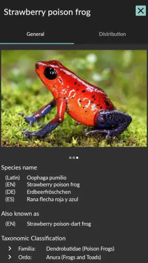 Animals of Costa Rica screenshot