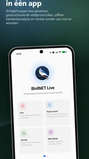 BirdNET Live screenshot