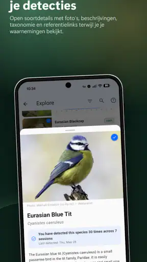 BirdNET Live screenshot