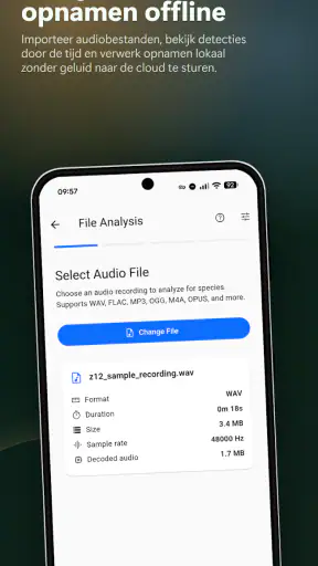 BirdNET Live screenshot