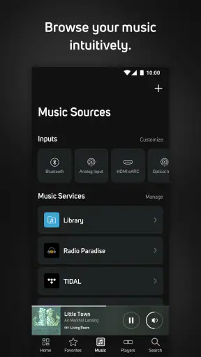 BluOS Controller screenshot