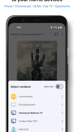BubbleUPnP UPnP/DLNA License screenshot