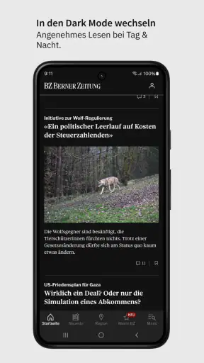 BZ Berner Zeitung Nachrichten screenshot