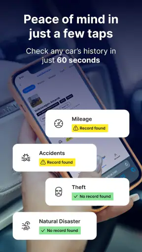 carVertical: VIN-check screenshot