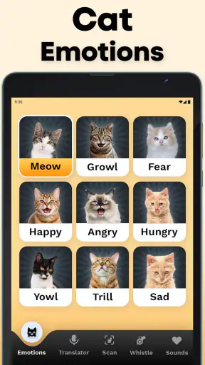 CatTranslator - Cat to Human screenshot