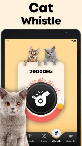 CatTranslator - Cat to Human screenshot