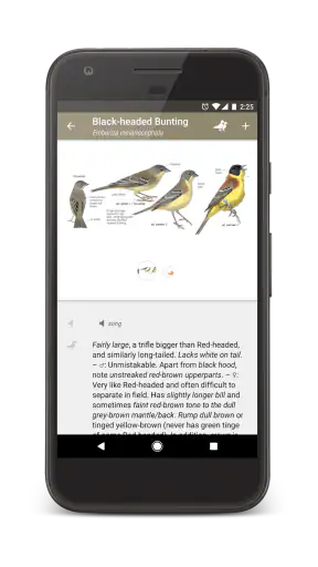ANWB Vogelgids van Europa screenshot