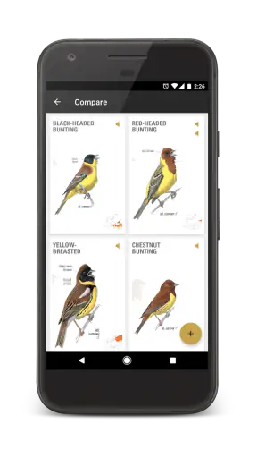 ANWB Vogelgids van Europa screenshot