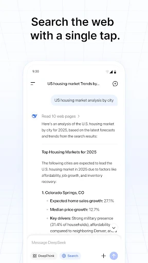 DeepSeek - AI Assistent screenshot