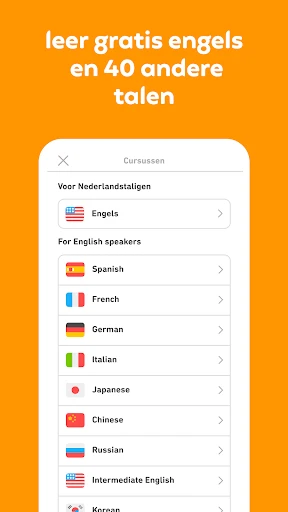 Duolingo: Taallessen screenshot
