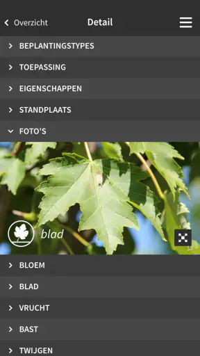Ebben TreeEbb screenshot