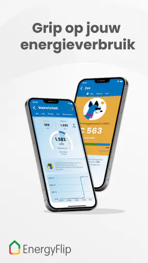 EnergyFlip screenshot