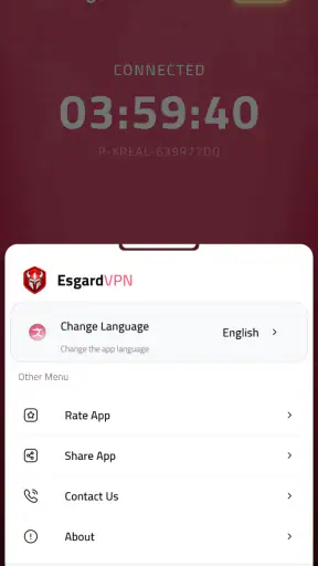 Esgard VPN screenshot
