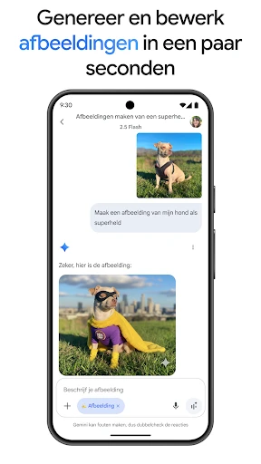 Google Gemini screenshot