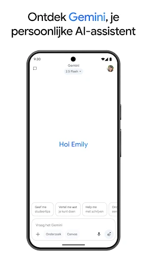 Google Gemini screenshot