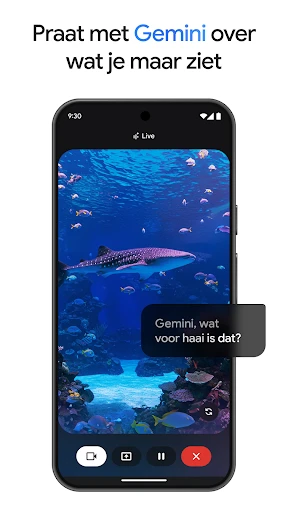 Google Gemini screenshot