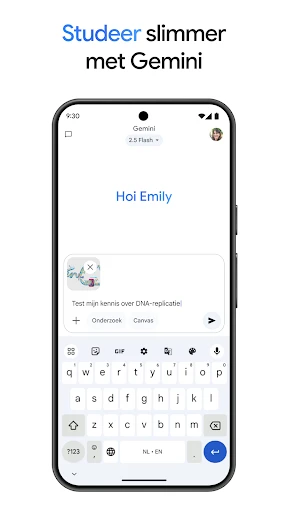Google Gemini screenshot