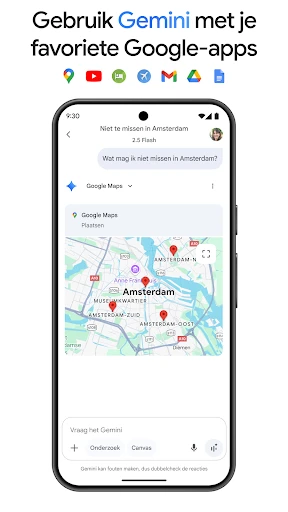 Google Gemini screenshot