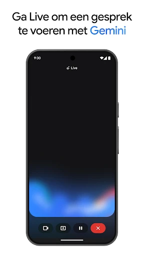 Google Gemini screenshot