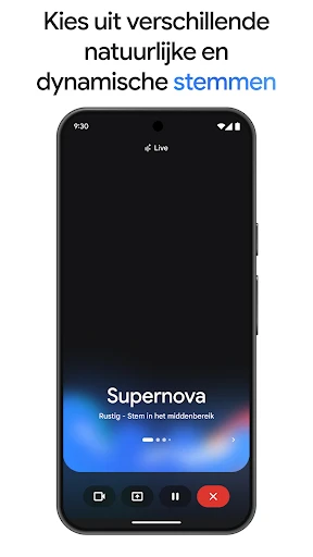 Google Gemini screenshot