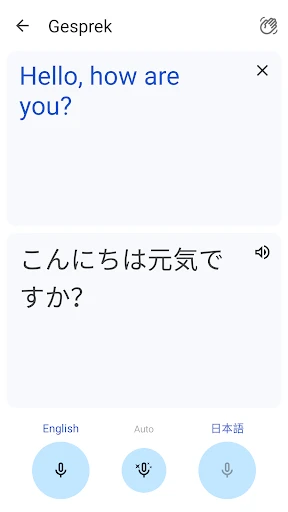 Google Translate screenshot