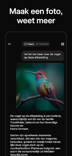 Grok: AI-assistent screenshot