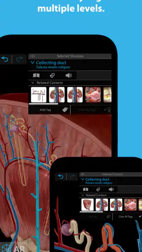 Human Anatomy Atlas 2026 screenshot
