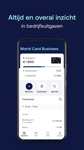 ICS Business screenshot