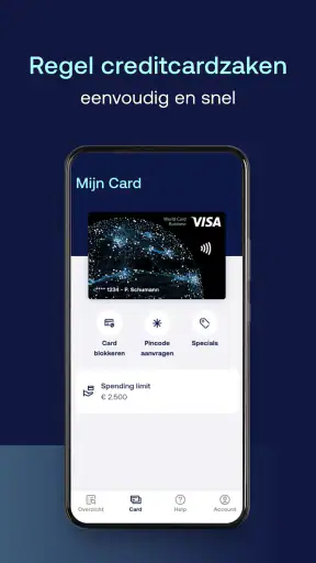 ICS Business screenshot