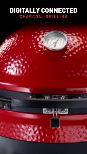 Kamado Joe screenshot