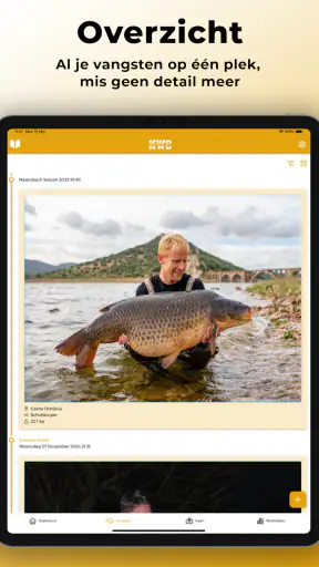 KWO Insights screenshot