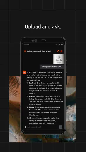 Le Chat by Mistral AI screenshot