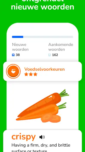 Learna: Engels & Spaans Leren screenshot