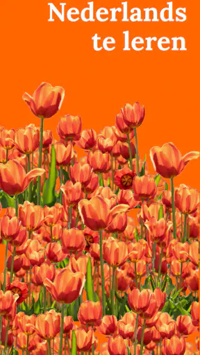 Nederlands leren - beginners screenshot