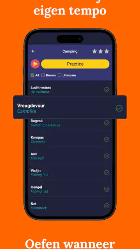 Nederlands leren - beginners screenshot