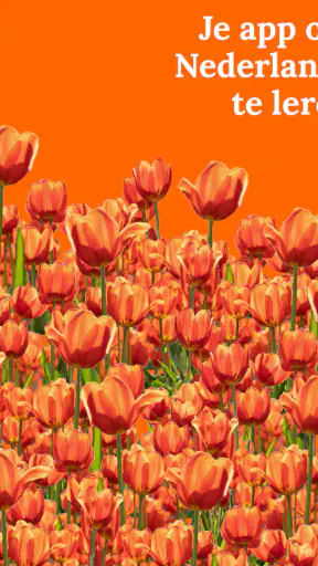 Nederlands leren - beginners screenshot