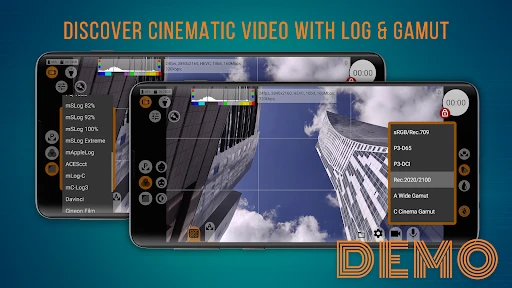 mcpro24fps demo - video camera screenshot