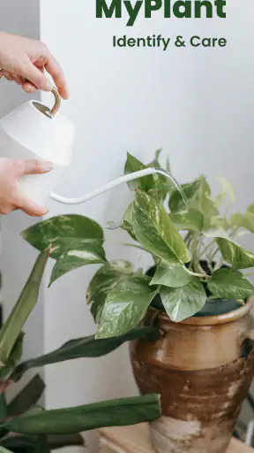 MyPlant: Identify & Care screenshot