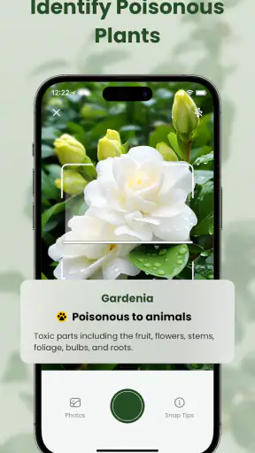 MyPlant: Identify & Care screenshot