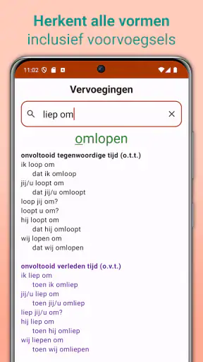 Nederlandse Werkwoorden screenshot