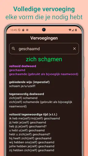 Nederlandse Werkwoorden screenshot