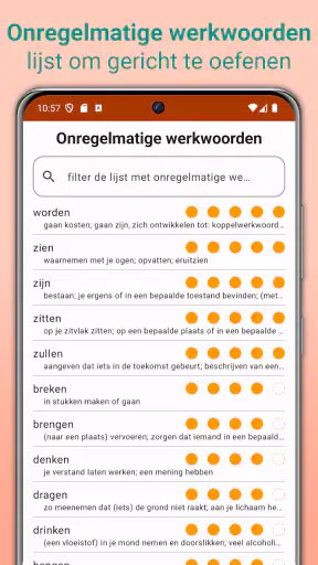 Nederlandse Werkwoorden screenshot