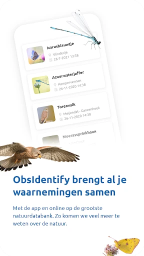 ObsIdentify screenshot