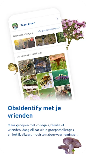 ObsIdentify screenshot