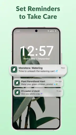 Plantaria - Plant identifier screenshot